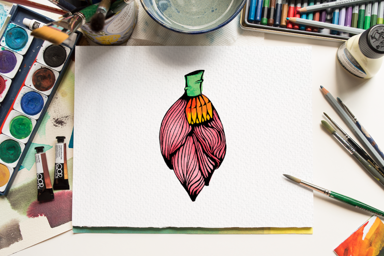 img_ilustra
